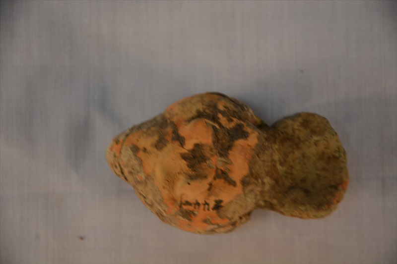 244-1-B-0001.jpg