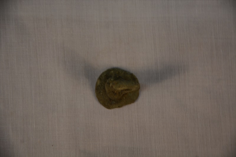 283-B-0001.jpg